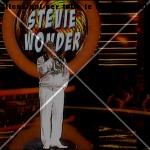 tale-e-quale-show-gabriele-cirilli-stevie-wonder (3)