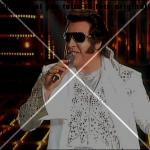 tale-e-quale-de-caro-elvis (4)