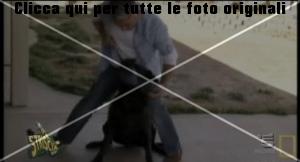 cesar-millan-striscia-la-notizia-3