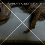 mistero-abductions-rapimenti-alieni (9)