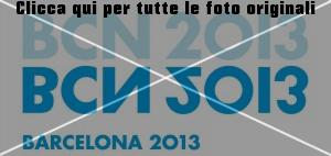 mondiali-di-nuoto-barcelona-2013-logo