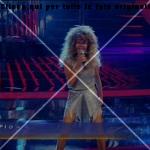 fiordaliso-tina-turner-tale-e-quale (1)