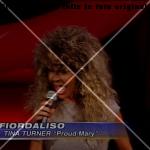 fiordaliso-tina-turner-tale-e-quale (4)