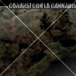 le-iene-cannabis-02