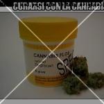 le-iene-cannabis-03