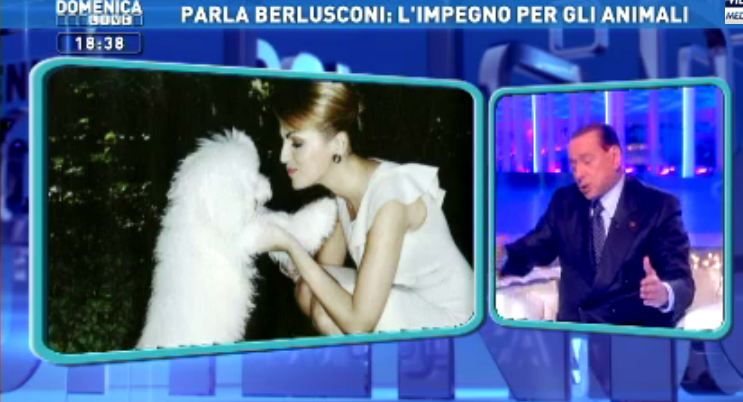 berlusconi-domenica-live2