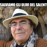 iene-ulivi-del-salento-6-albano