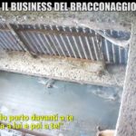 le-iene-bracconaggio-2