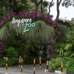 Zoo di Singapore