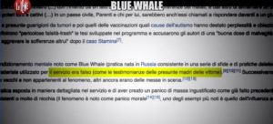 iene-blue-whale-8-ottobre-2017-4