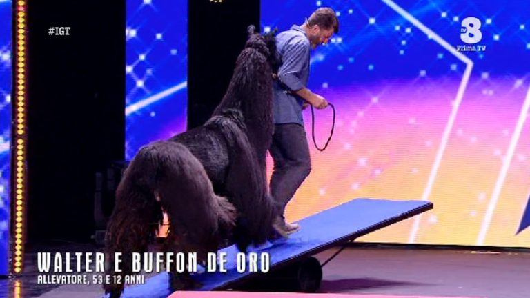 Italia's got talent 2019 lama Buffon de Oro-5