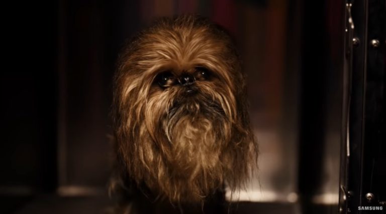 chewbie