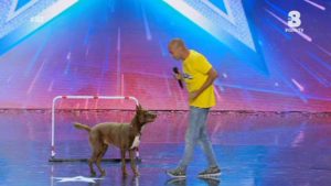 Italia's got talent 22 gennaio 2020 Emanuele e cane Chico-1